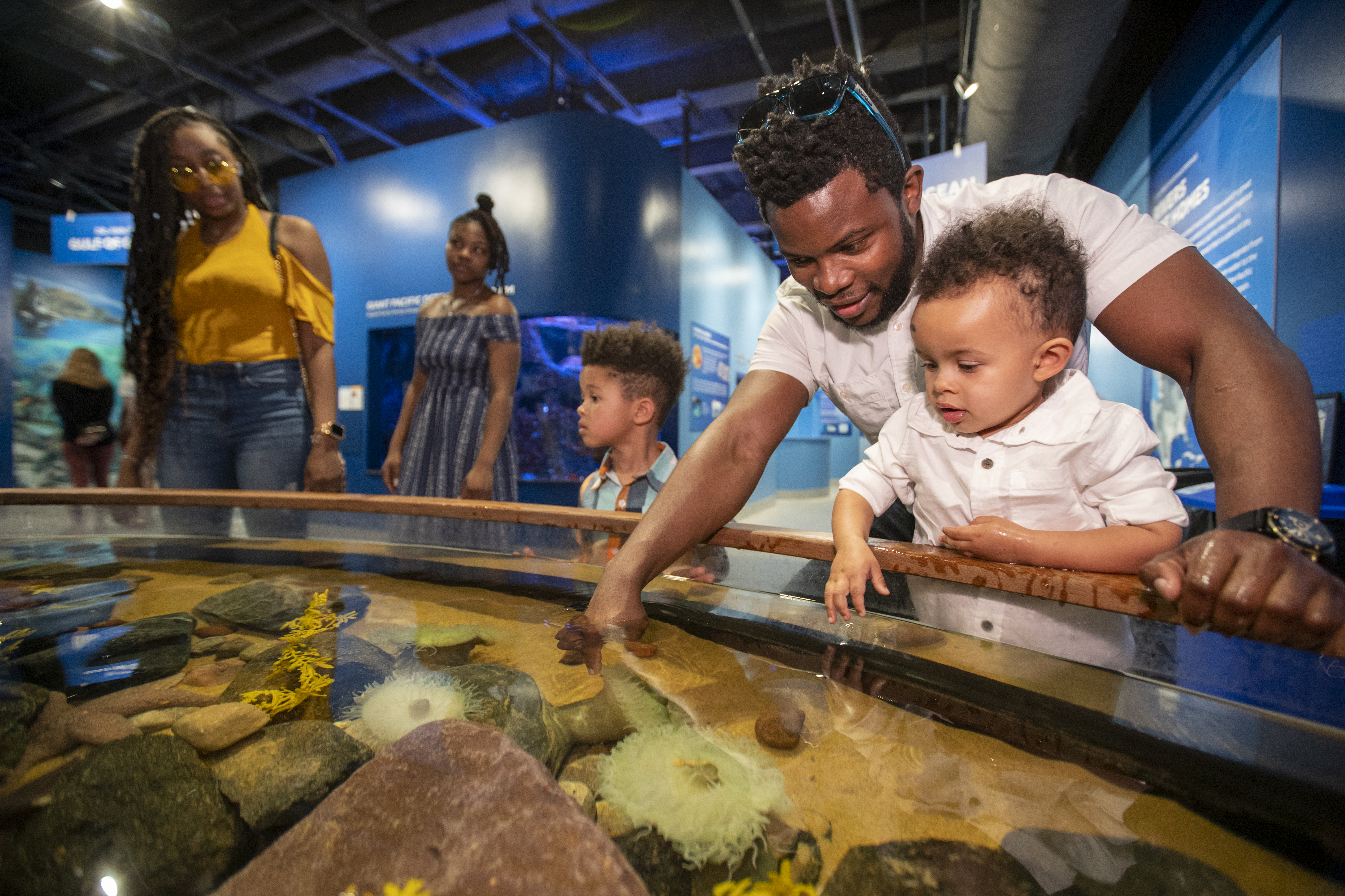 National Mississippi River Museum & Aquarium